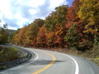 211021fall1.jpg