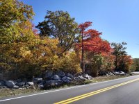 221011fall1.jpg