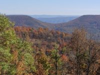 221022fall.jpg