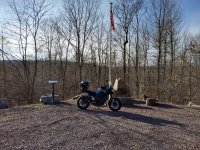 230404buzzone4_2.jpg