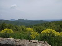 230511skyline4.jpg