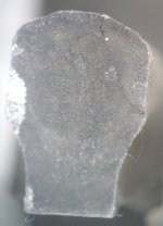 IMAG7076~2.jpg