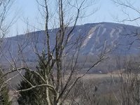 240416timberline.jpg